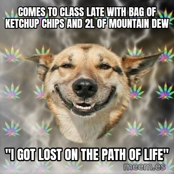 Stoner Dog meme: COMES TO CLASS LATE WITH BAG OF KETCHUP CHIPS AND 2L OF MOUNTAIN DEW / "I got lost on the path of life"