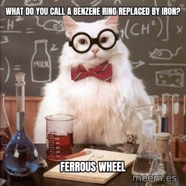 Chemistry Cat meme: what do you call a benzene ring replaced by iron? / ferrous wheel