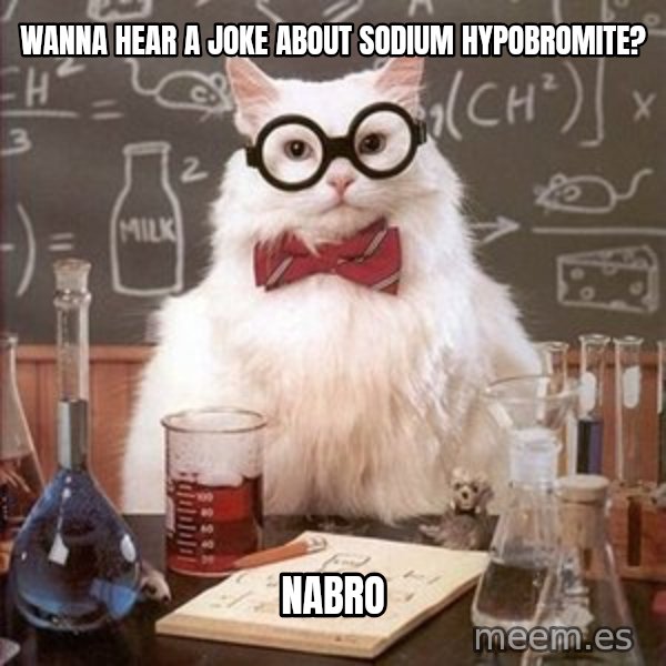 Chemistry Cat meme: Wanna hear a joke about sodium hypobromite? / nabro