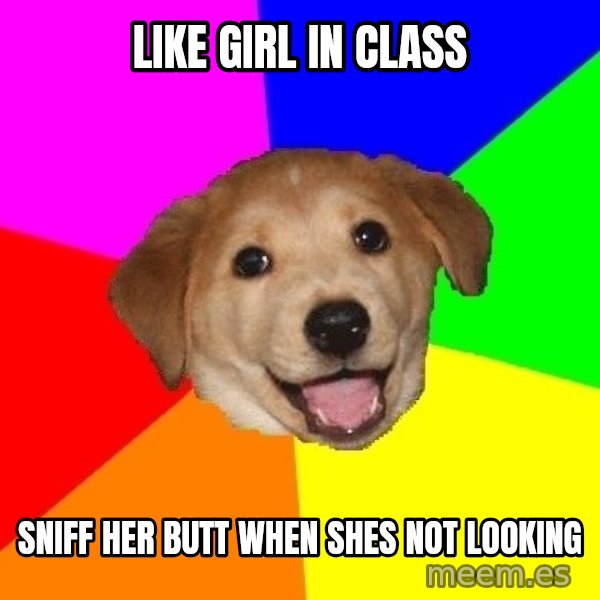 Advice Dog meme: like girl in class / sniff her butt when shes not looking