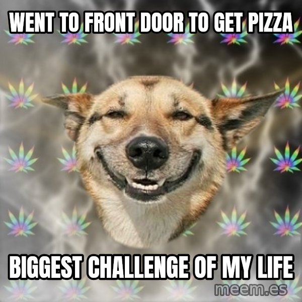Stoner Dog meme: went to front door to get pizza / biggest challenge of my life
