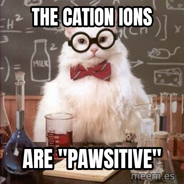 Chemistry Cat meme: The CATion ions / aRE "PAWSITIVE"