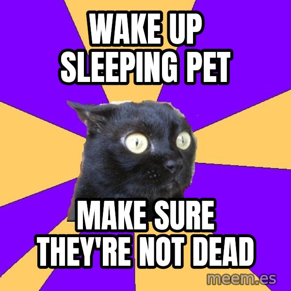 Anxiety Cat meme: wake up sleeping pet / make sure they're not dead