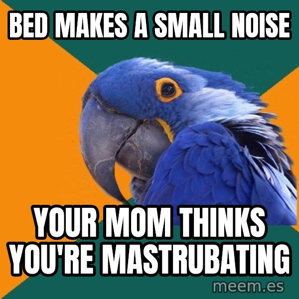 Paranoid Parrot meme: BED MAKES A SMALL NOISE / yOUR MOM THINKS YOU'RE MASTRUBATING