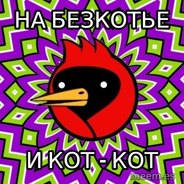 Omsk Crow meme: на безкотье / и кот - кот