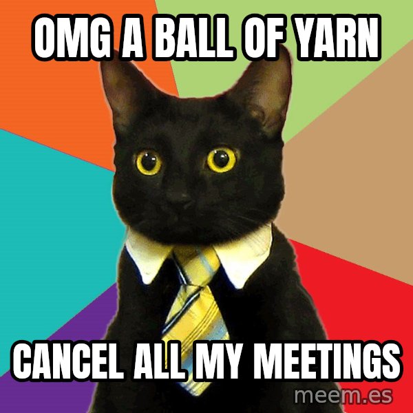 Business Cat meme: OMG A BALL OF YARN / CANCEL ALL MY MEETINGS