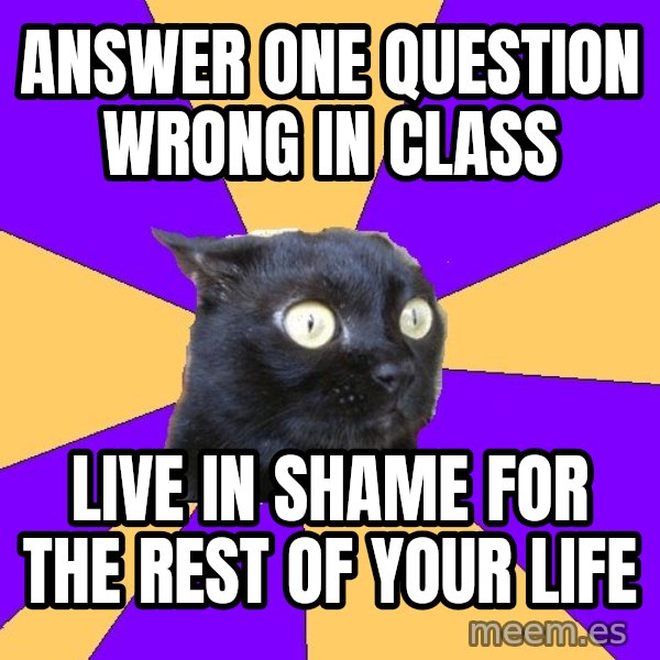 Anxiety Cat meme: answer one question wrong in class / live in shame for the rest of your life