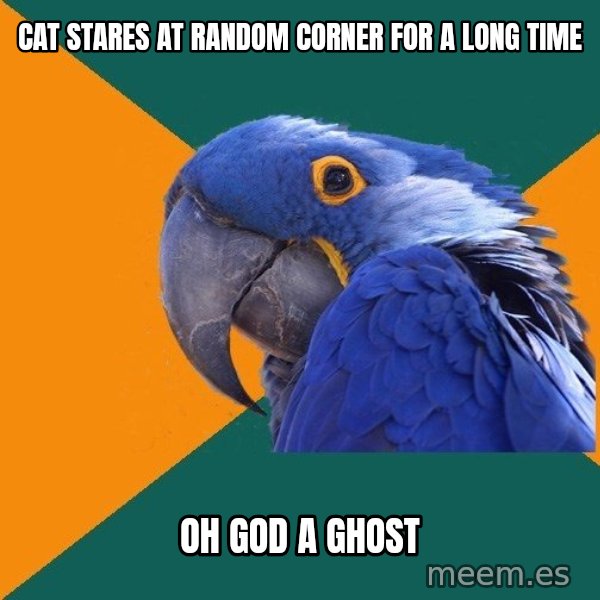 Paranoid Parrot meme: cat stares at random corner for a long time / oh god a ghost