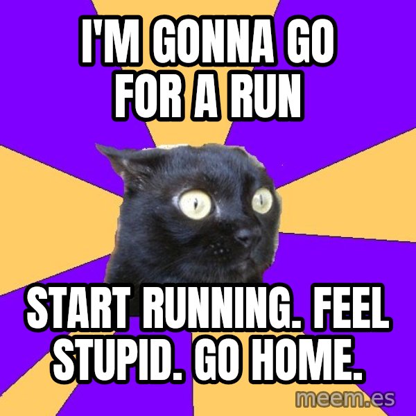 Anxiety Cat meme: I'm gonna go for a run / start running. feel stupid. go home.