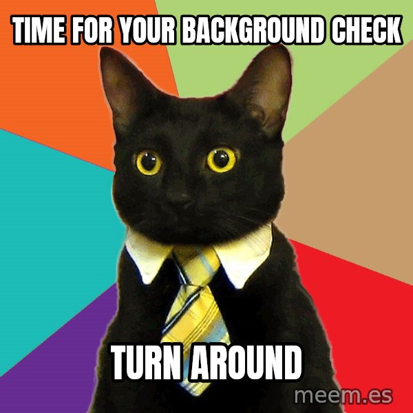 Business Cat meme: time for your background check / turn around