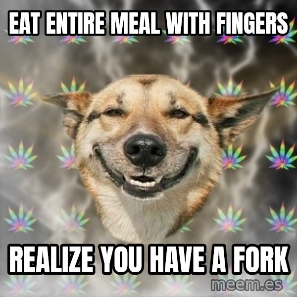 Stoner Dog meme: Eat entire meal with fingers / Realize you have a fork