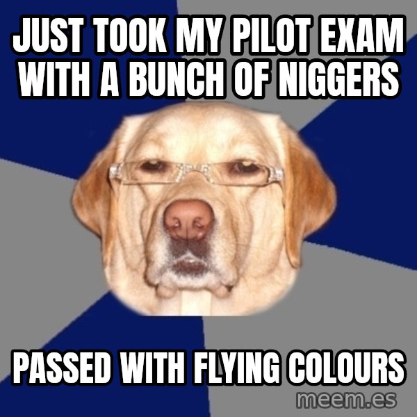 Racist Dog meme: just took my pilot exam with a bunch of niggers / passed with flying colours