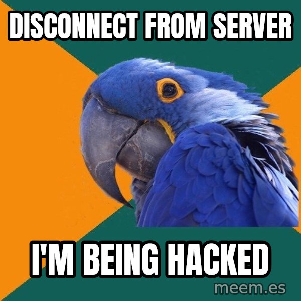 Paranoid Parrot meme: DISCONNECT from server / i'm being hacked