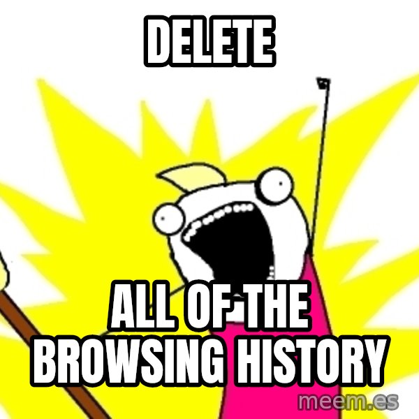 X ALL THE THINGS meme: DELETE / ALL OF THE BROWSING HISTORY