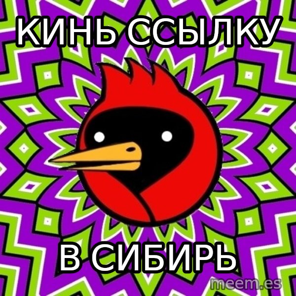 Omsk Crow meme: кинь ссылку / в сибирь