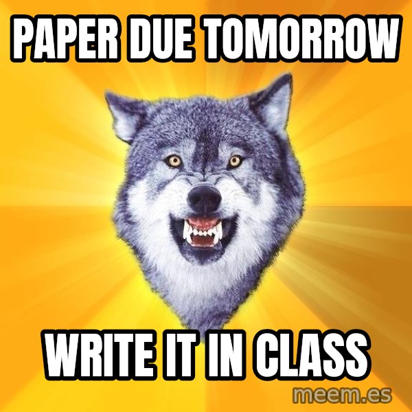 Courage Wolf meme: paper due tomorrow / write it in class