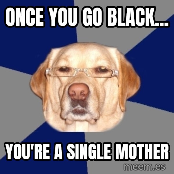 Racist Dog meme: once you go black... / you're a single mother