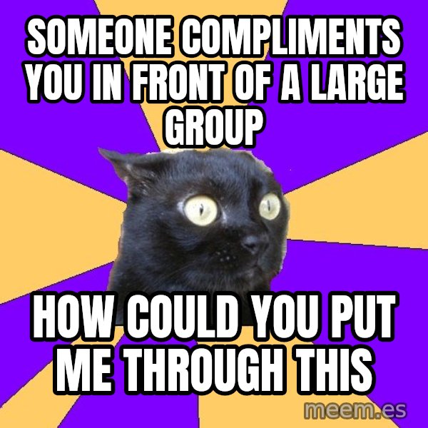 Anxiety Cat meme: someone compliments you in front of a large group / how could you put me through this