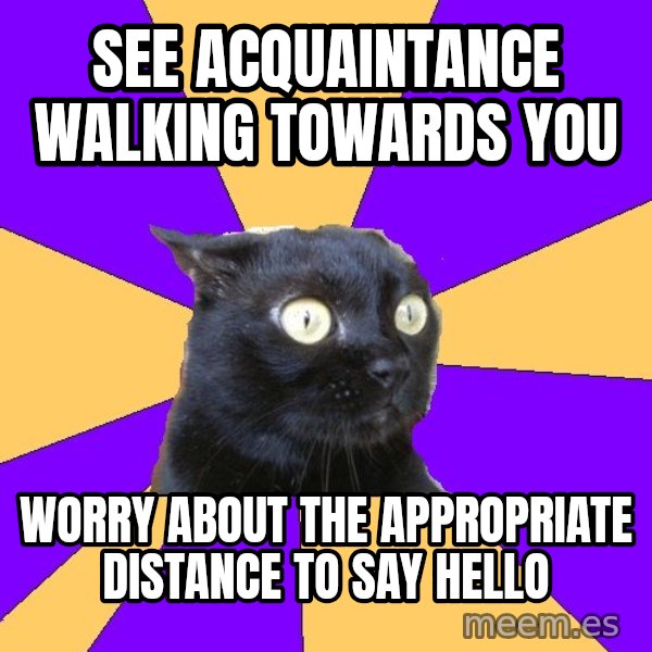 Anxiety Cat meme: see acquaintance walking towards you / worry about the appropriate distance to say hello