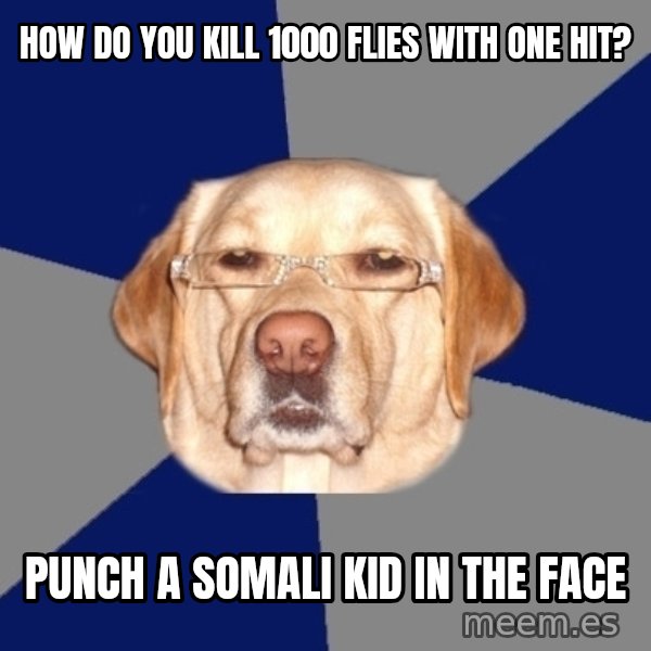 Racist Dog meme: hOW DO YOU KILL 1000 FLIES WITH ONE HIT? / PUNCH A SOMALi kID IN THE FACE