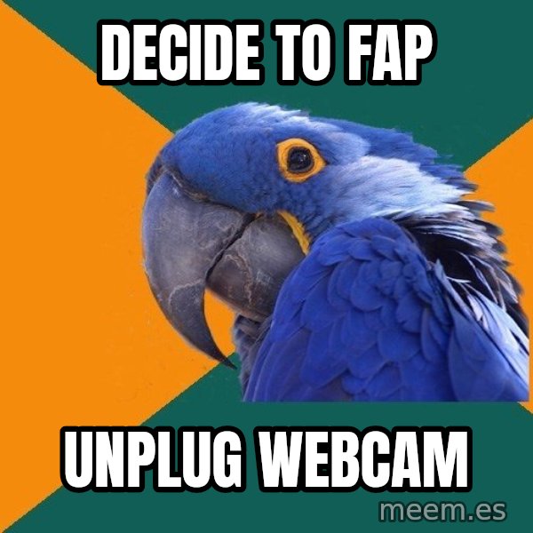 Paranoid Parrot meme: Decide to FAP / UNPLUG WEBCAM