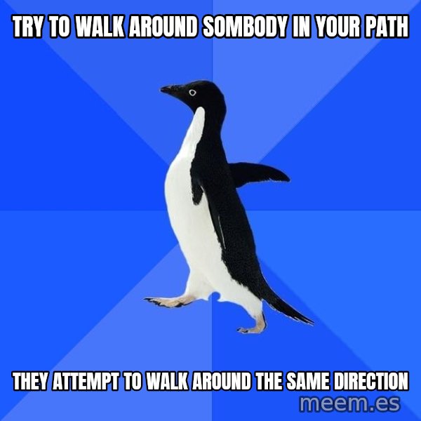 Socially Awkward Penguin meme: Try to walk around sombody in your path / they attempt to walk around the same direction