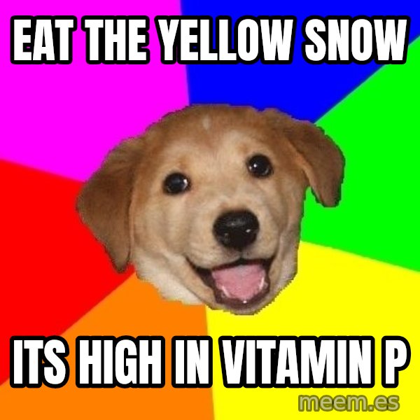 Advice Dog meme: eat the yellow snow / its high in vitamin p