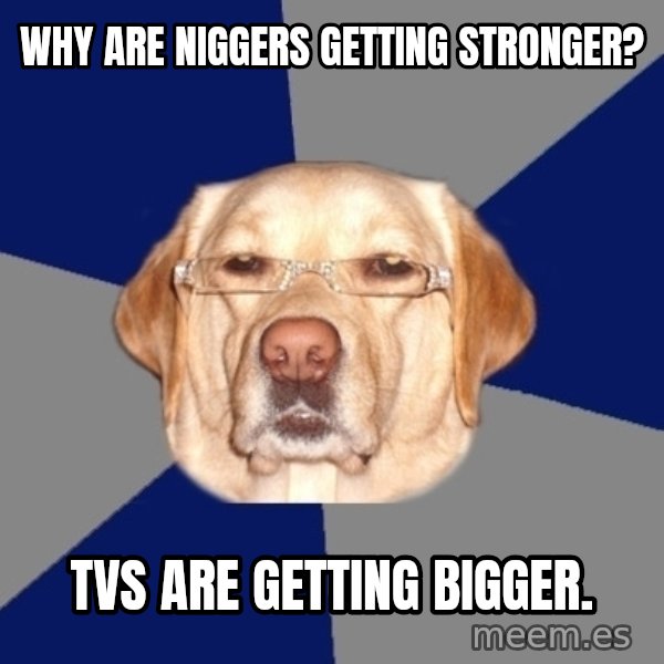 Racist Dog meme: Why are niggers getting stronger? / TVs are getting bigger.