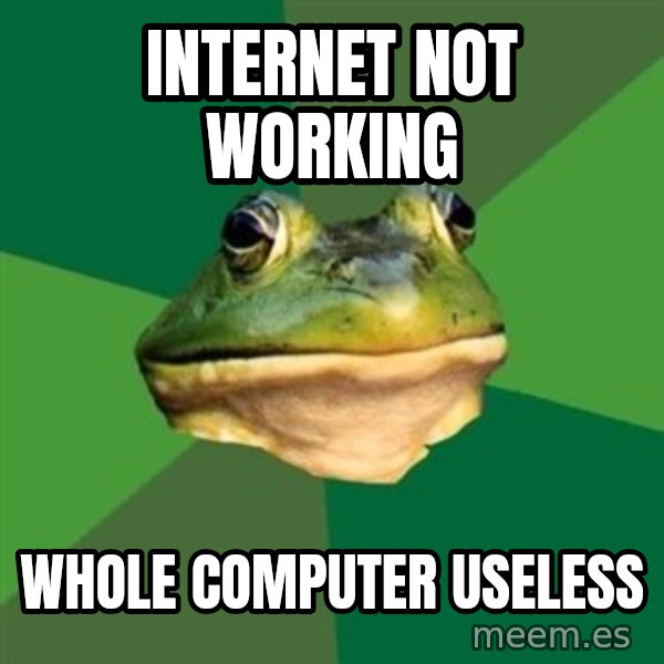 Foul Bachelor Frog meme: Internet not working / whole computer useless