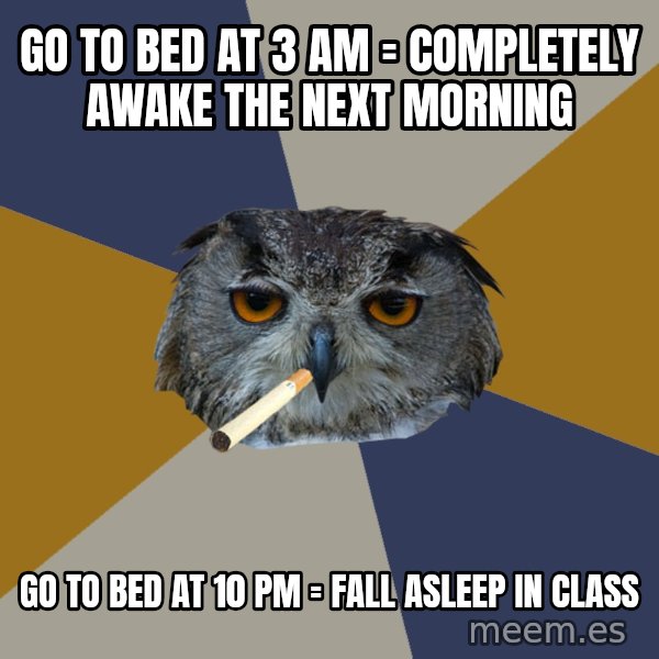 Art Student Owl meme: GO TO BED AT 3 AM = COMPLETELY AWAKE THE NEXT MORNING / GO TO BED AT 10 PM = FALL ASLEEP IN CLASS