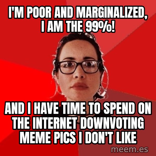 Liberal Douche Garofalo meme: I'm poor and marginalized, I am the 99%! / And I have time to spend on the internet downvoting meme pics I don't like