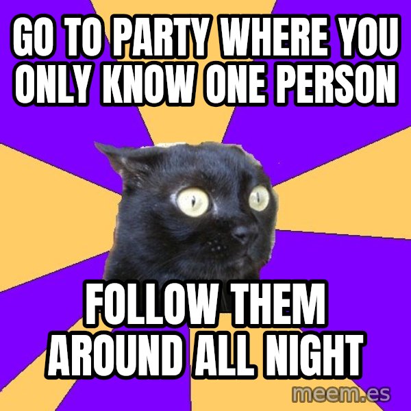 Anxiety Cat meme: go to party where you only know one person / Follow them around all night