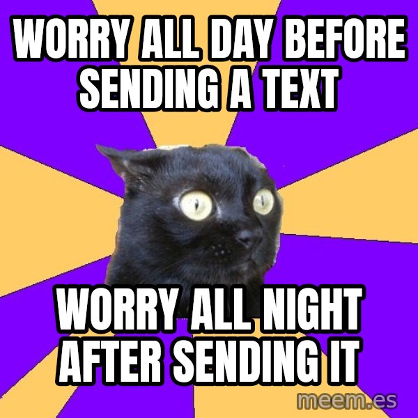 Anxiety Cat meme: Worry all day before sending a text / worry all night after sending it