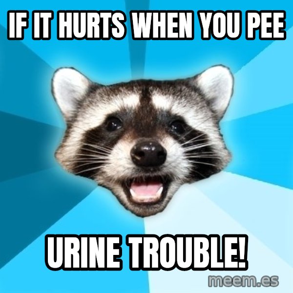 Lame Pun Coon meme: If it Hurts When you pee / Urine trouble!