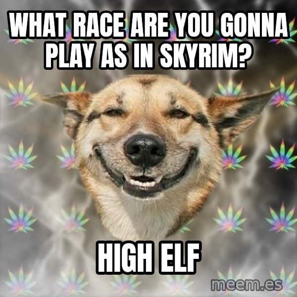 Stoner Dog meme: What race are you gonna play as in skyrim? / high elf
