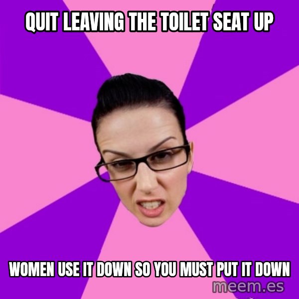 Privilege Denying Feminist meme: quit leaving the toilet seat up / women use it down so you must put it down
