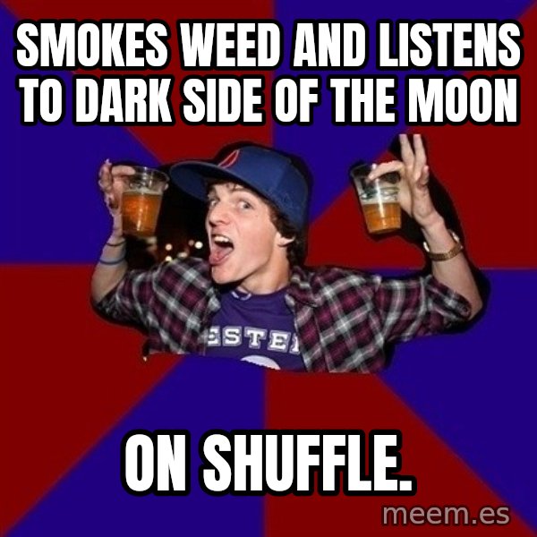 Sunny Student meme: Smokes weed and listens to dark side of the moon / On shuffle.