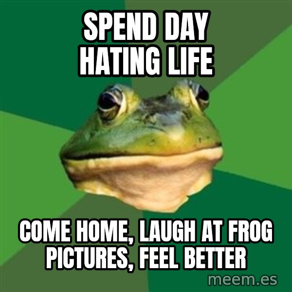 Foul Bachelor Frog meme: spend day hating life / come home, laugh at frog pictures, feel better