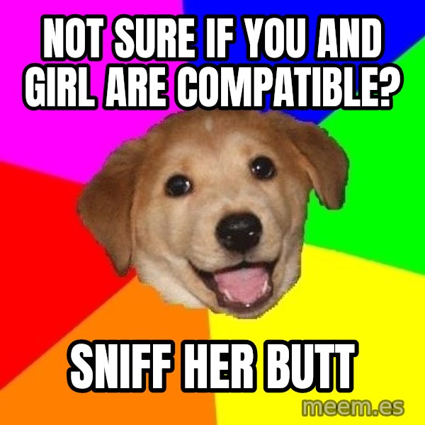Advice Dog meme: not sure if you and girl are compatible? / sniff her butt