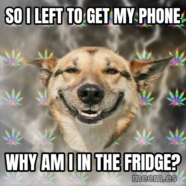 Stoner Dog meme: so i left to get my phone / why am i in the fridge?