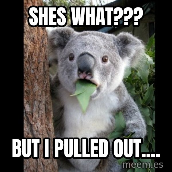 Koala can't believe it meme: shes what??? / but i pulled out....
