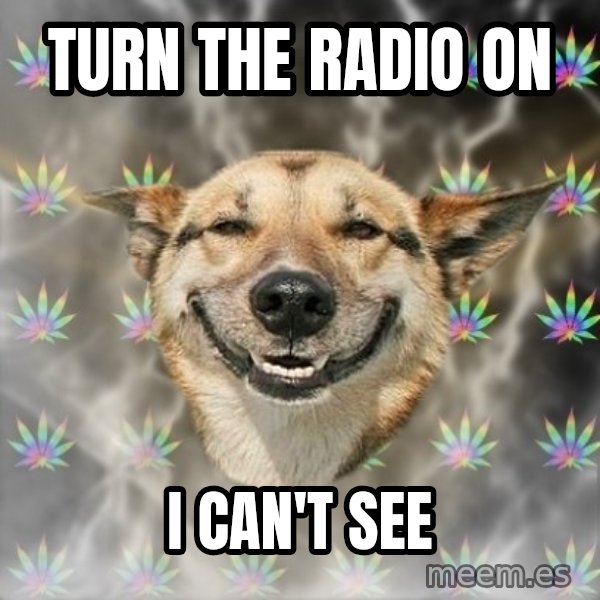 Stoner Dog meme: Turn THE RADIO ON / I can't SEE