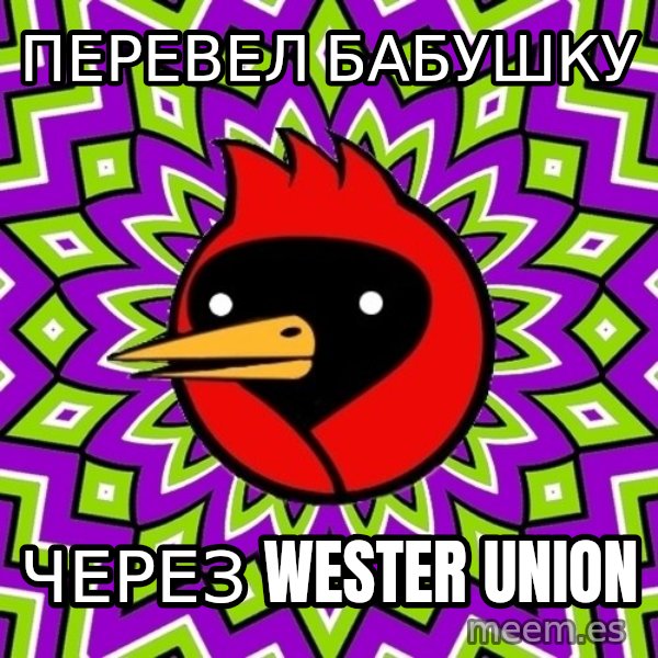 Omsk Crow meme: перевел бабушку / через wester union