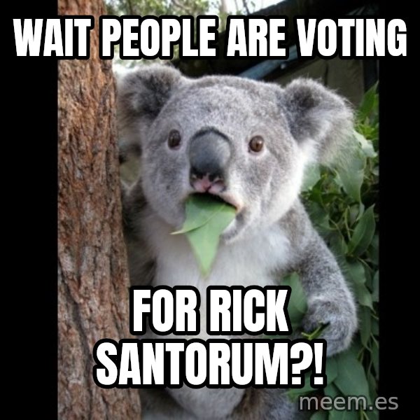 Koala can't believe it meme: wait people are voting / for rick santorum?!