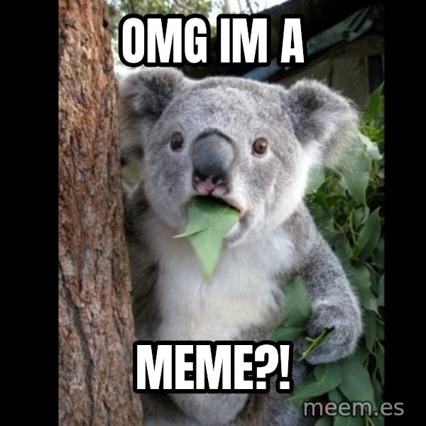 Koala can't believe it meme: omg im a / meme?!