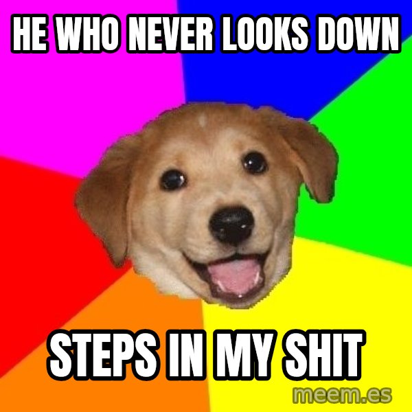 Advice Dog meme: he who never looks down / steps in my shit