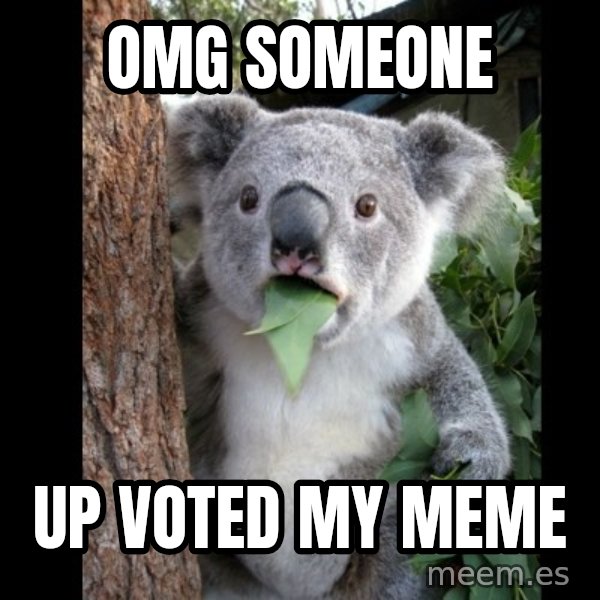 Koala can't believe it meme: OMG someone / up voted my meme