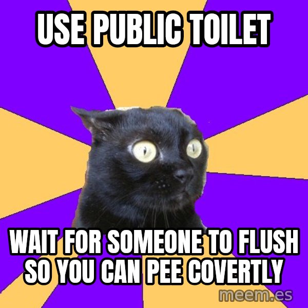 Anxiety Cat meme: USE PUBLIC TOILET / WAIT FOR SOMEone TO FLUSH SO YOU CAN PEE COVERTLY