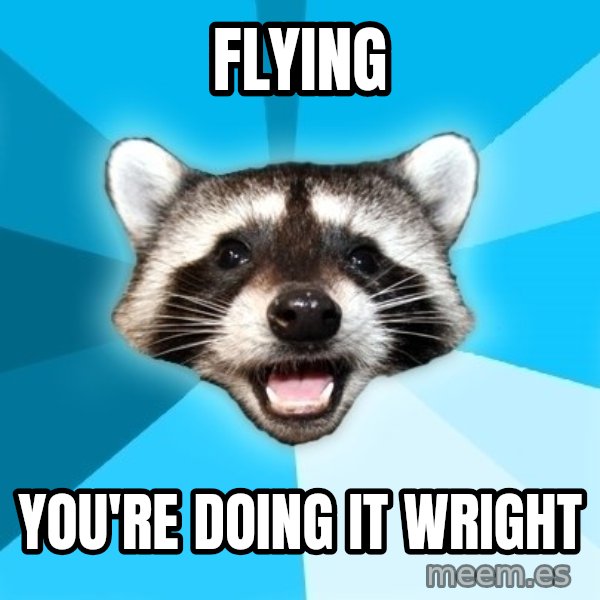 Lame Pun Coon meme: Flying / you're doing it wright