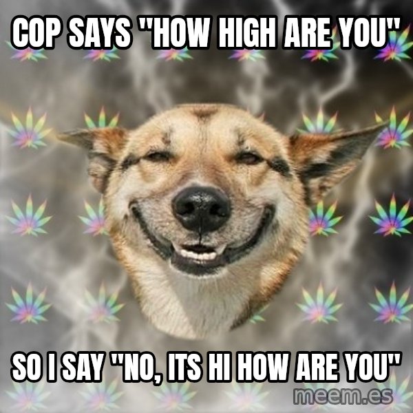 Stoner Dog meme: Cop says "how high are you" / so i say "No, its hi how are you"